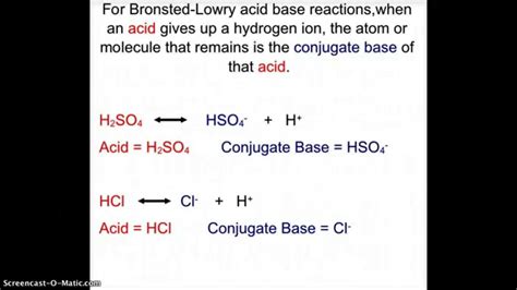 Conjugate Acids and Bases - YouTube