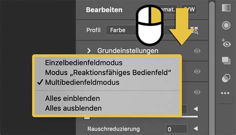 Adobe Camera Raw ACR wie Sie neue Benutzeroberfläche und