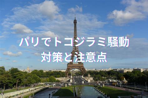 パリでトコジラミ（ナンキンムシ）騒動公共交通機関や映画館、ホテル 対策と注意点 ソレイユ ブログ