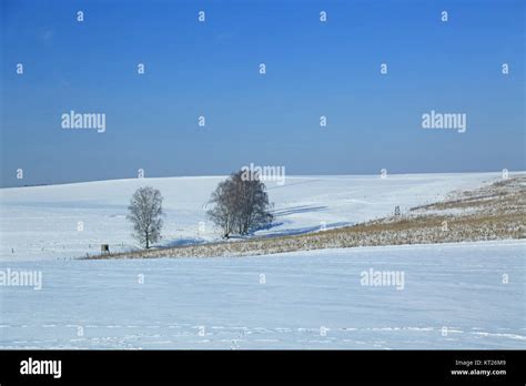 Winterlandschaft Im Erzgebirge Sachsen Deutschland Stock Photo Alamy