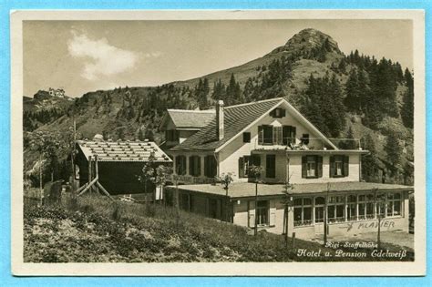 Rigi Staffelhöhe 1930 Hotel Und Pension Edelweiss Kaufen Auf Ricardo