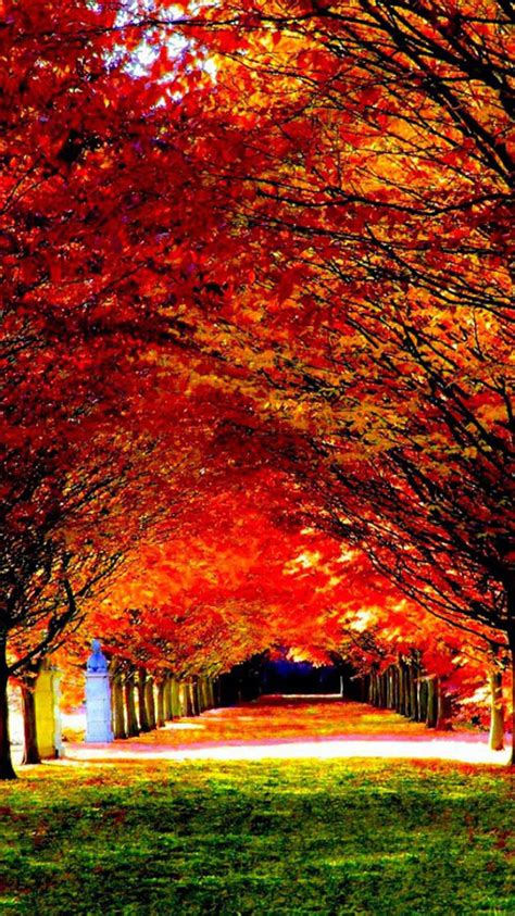 🔥 [50+] iPhone 6 Autumn Wallpapers | WallpaperSafari