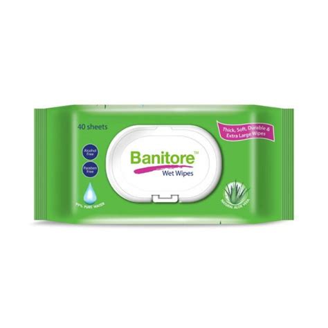 Buatan Malaysia Banitore Wet Wipes 40s X 2 Packs Wangzheng Care