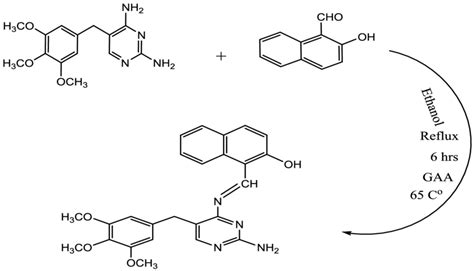 Scheme 1 Synthesis Route Of The Ligand Hl Preparation Of The