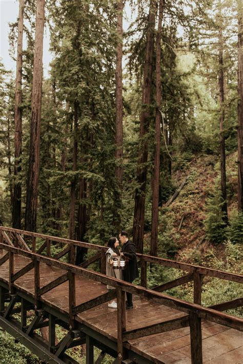 Big Sur Redwoods Proposal