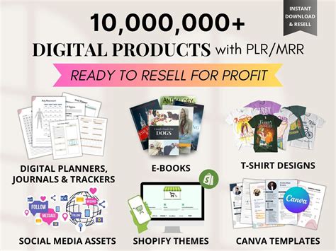 Digital Products Bundle To Resell MRR Digital Products MRR Resell