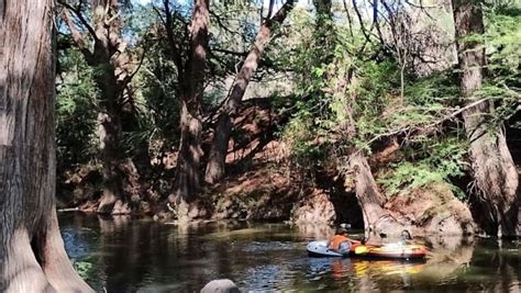 Qu Hace Tan Especial Al Bosque De Las Musas En Manuel Doblado Te