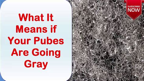 Grey Pubic Hair Pictures Spefashion