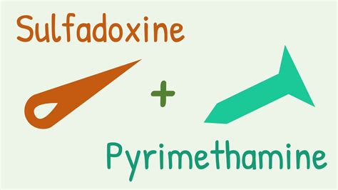 Pyrimethamine Mechanism Of Action