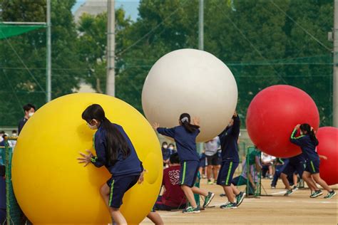 第79回体育大会を実施しました！ 校長室だより 学校法人 浪工学園 星翔高等学校｜工業技術系工学科・普通科