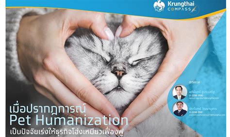 เมื่อปรากฏการณ์ Pet Humanization เป็นปัจจัยเร่งให้ธุรกิจโฮ่งเหมียวเฟื่องฟู