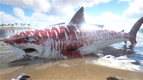 Megalodon Official ARK Survival Evolved Wiki