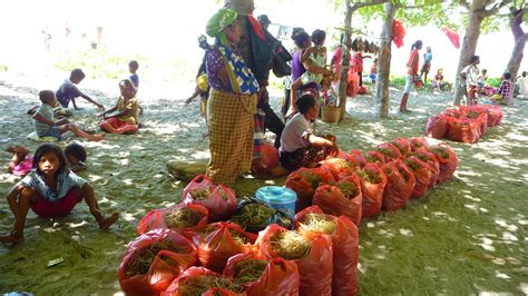 Dean in Dili: Adventures in East Timor: Atauro Island