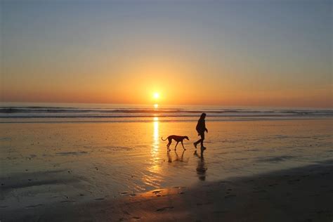 LA GALGA RUMBA PUESTA DE SOL EN PUNTA UMBRÍA HUELVA