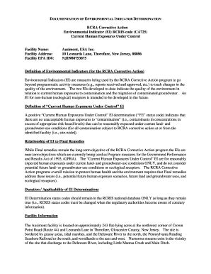 Fillable Online Documentation Of Environmental Indicator Determination