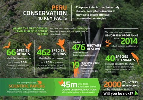 Animal Rehab In The Amazon Rainforest Peru Projects Abroad