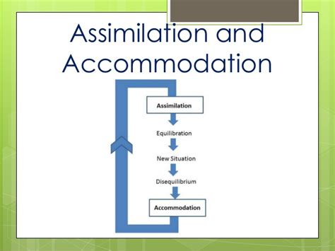 Schema, Assimilation, and Accommodation - JEAN Piaget