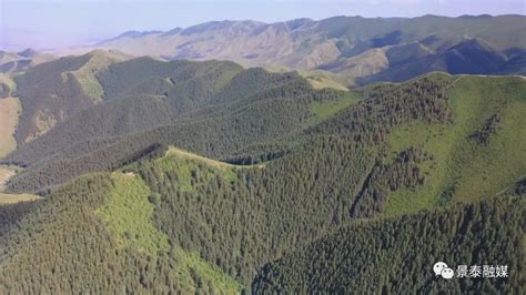 寿鹿山自然保护区护林员：守好一座山 护好一片绿