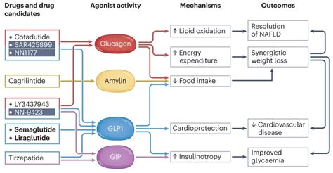 Nature Reviews Endocrinology On Twitter Tricia M M Tan Outlines Key