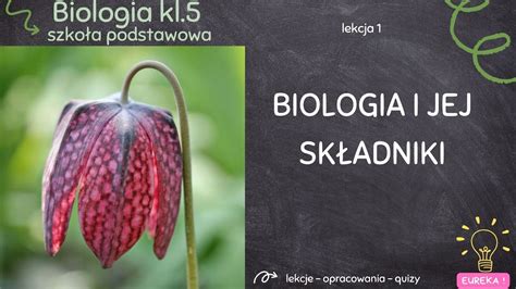 Biologia Klasa 5 Lekcja 1 Biologia Jako Nauka YouTube