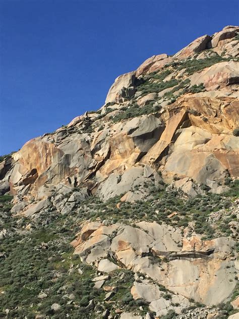 Morro Bay National Estuary Program