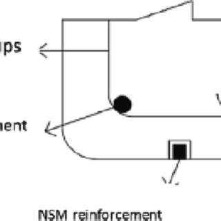 The schematic diagram of the NSM method. | Download Scientific Diagram