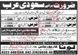 Luna Corporation Saudi Arabia Jobs 2023 2024 Job Advertisement Pakistan