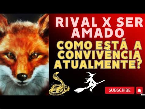 Rival X Ser amado a COMO ESTÁ A CONVIVÊNCIA ATUALMENTE