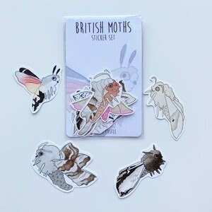 British Moths Sticker Set Cute Sticker Pack Vinyl Sticker Etsy