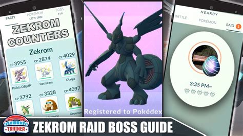 The Zekrom Counter Guide Ivs Moveset Weakness Dragon