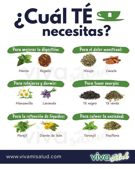 Té de manzanilla beneficios para tu salud Viva mi salud