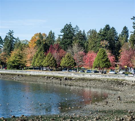 Vancouver by Locals (2025) - All You Need to Know BEFORE You Go (with