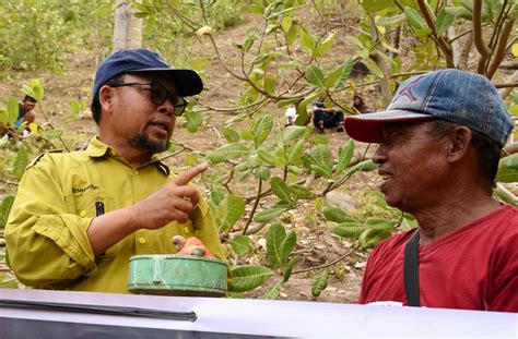 InfoPublik PROGRAM RHL Di KABUPATEN GORONTALO