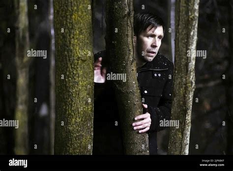 PADDY CONSIDINE, THE CRY OF THE OWL, 2009 Stock Photo - Alamy