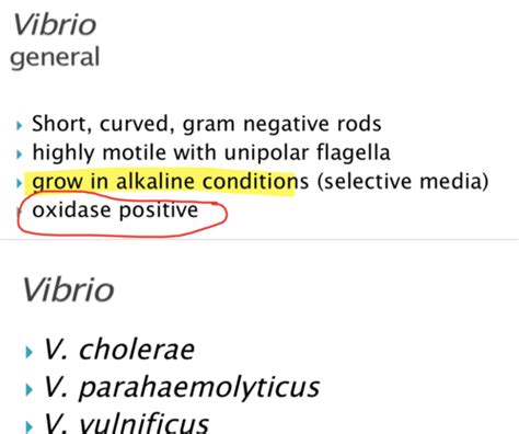 Vibrio Campylobacter And Helicobacter Flashcards Quizlet