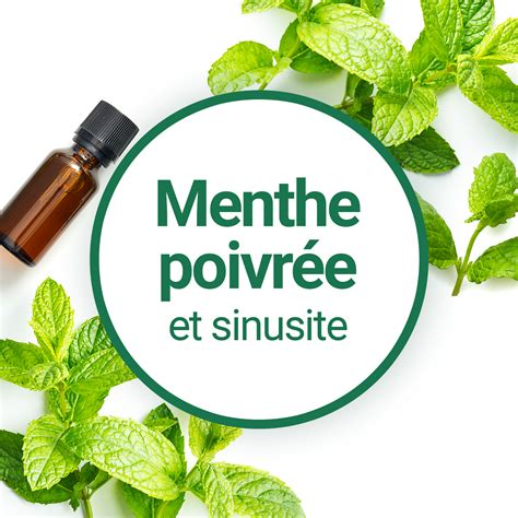 Lhuile Essentielle De Menthe Poivr E En Cas De Sinusite