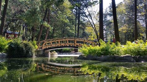 Masayoshi Ohira El Parque Japon S De Cdmx M Xico Chulo