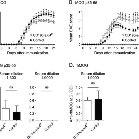 Influence Of B Cell Very Late Antigen Vla Deficiency On