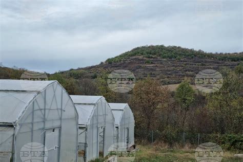 БТА :: Проекти на 382 млади земеделски стопани ще получат финансиране ...