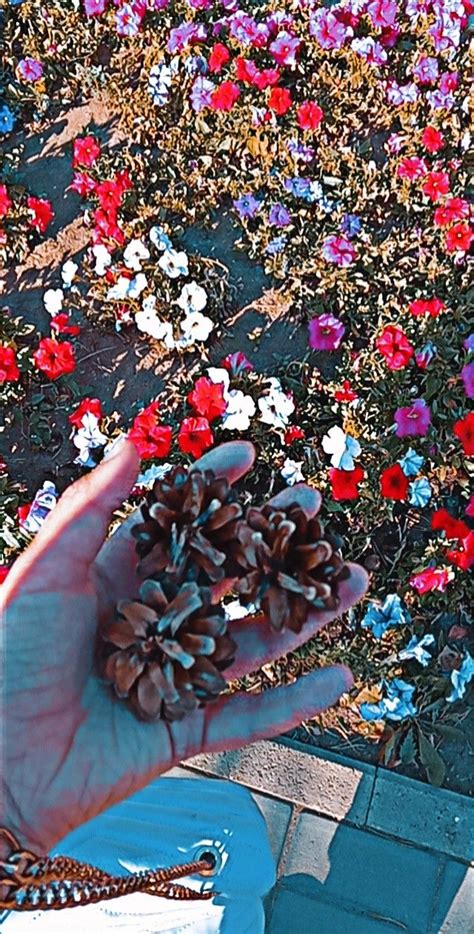 Весенние обои🌸