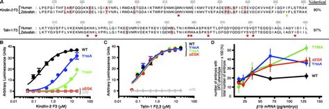 Kindlin Specific 1b Tail Mutants Show Differences In Their Kindlin 2 F3