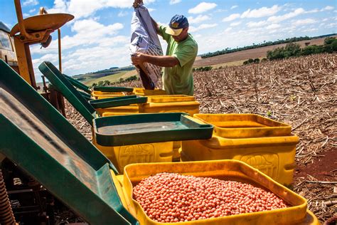 Como Fazer A Gest O De Insumos Agr Colas Da Fazenda