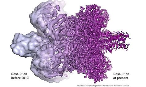 Cryo EM Single Particle Analysis Quantum Detectors