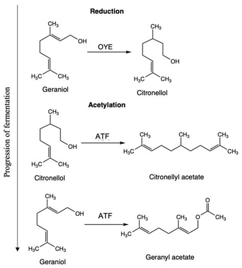 Fermentation Free Full Text Investigation Of Geraniol