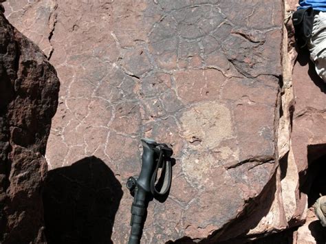 1 Billion Year Old Mudcracks Azgs