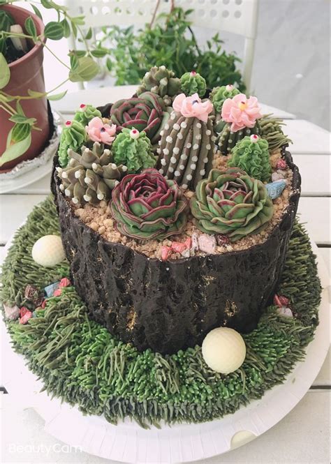 Piping Succulent Plants Succulent Cake Buttercream Cake Decorating