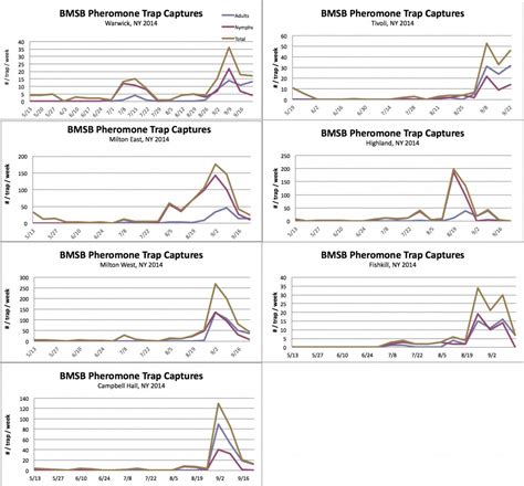 Bmsb Trap And Scouting Update Bmsb Trap Numbers Continue To Drop Site