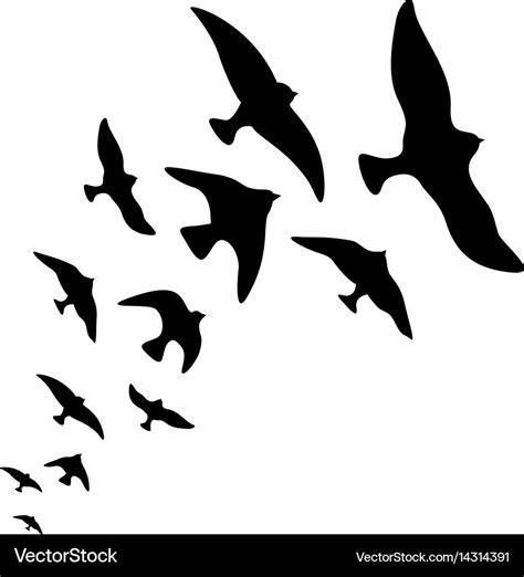 Silhouette Flock Of Flying Birds Design Royalty Free Vector