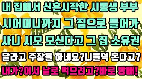 카카오실화사연 내 집에서신혼시작한 시동생부부시어머니까지 그 집으로 들어가사니 시모 모신다고 그 집 소유권달라고 주장을 하네요