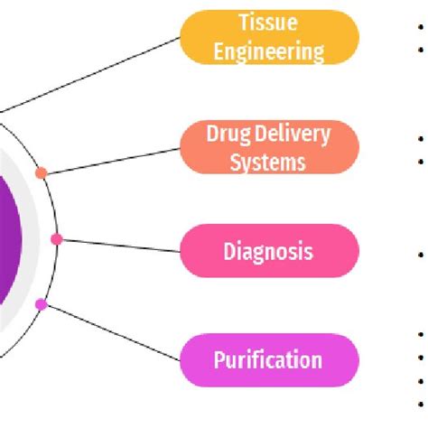 Polymeric Membrane Applications In The Biomedical Field Download